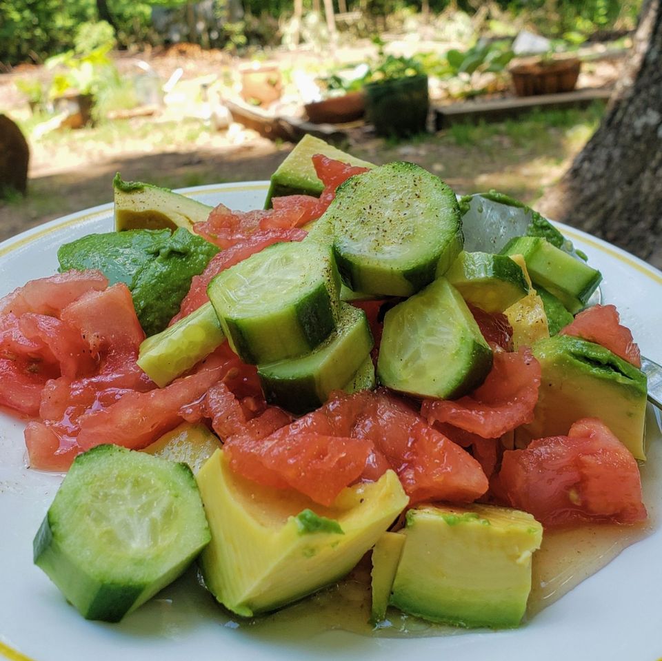 Recipe | Cucumber Tomato Avocado Salad